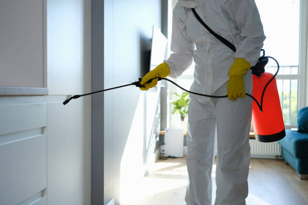Best Professional Mold Removal  in Redland, MD