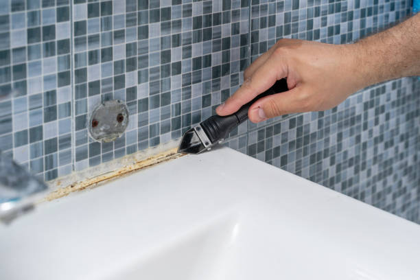 Trusted Redland, MD Mold Removal Experts
