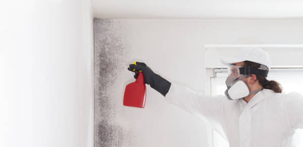 Best Office Mold Removal Services  in Redland, MD
